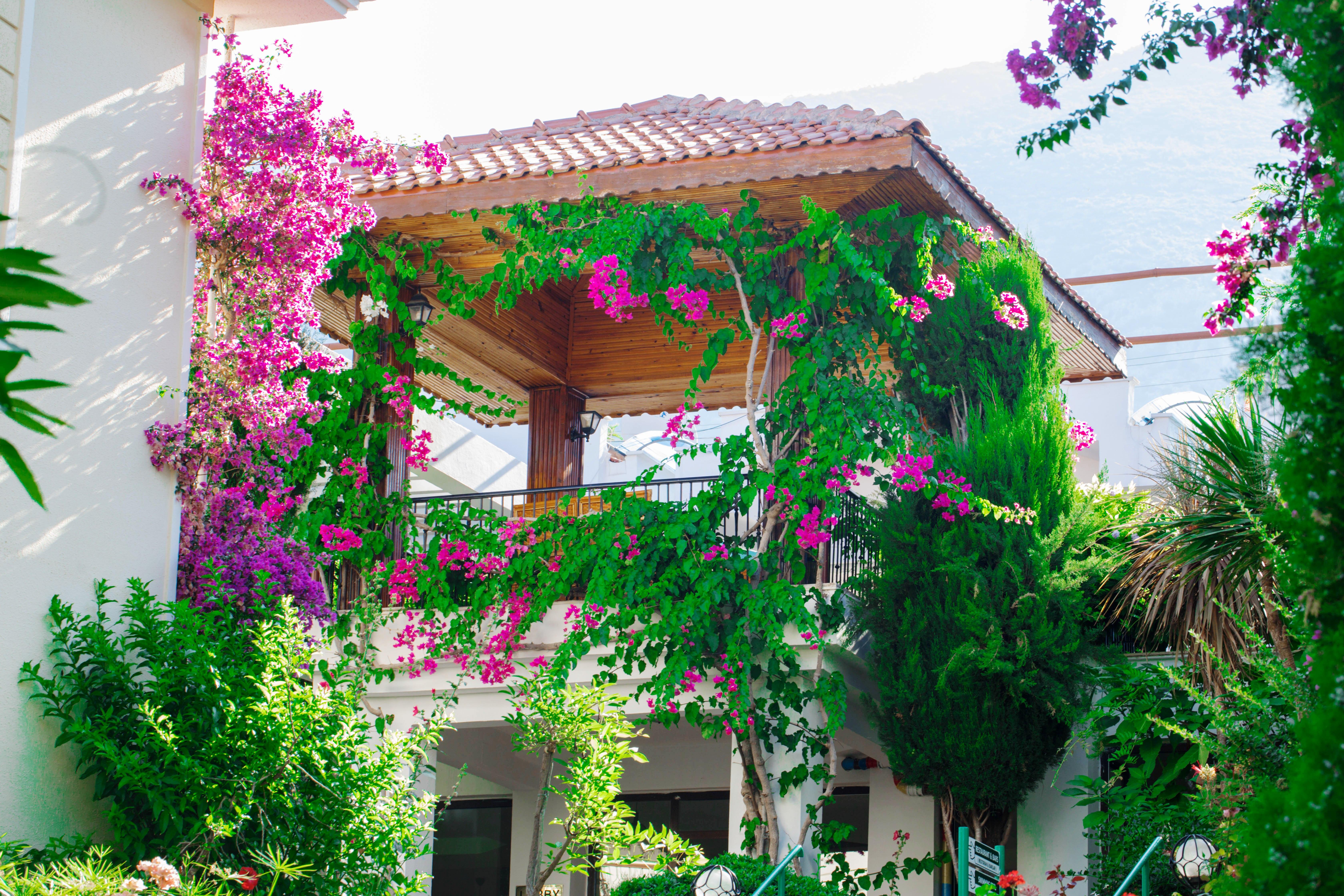 Yel Holiday Resort Oludeniz Ngoại thất bức ảnh